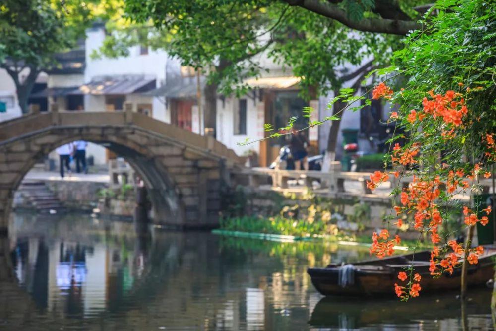 五彩鹦鹉救援